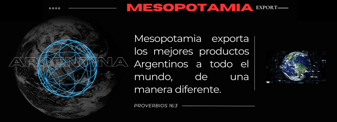 Mesopotamia Export